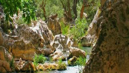 ثبت نام اردوی سپیدان
